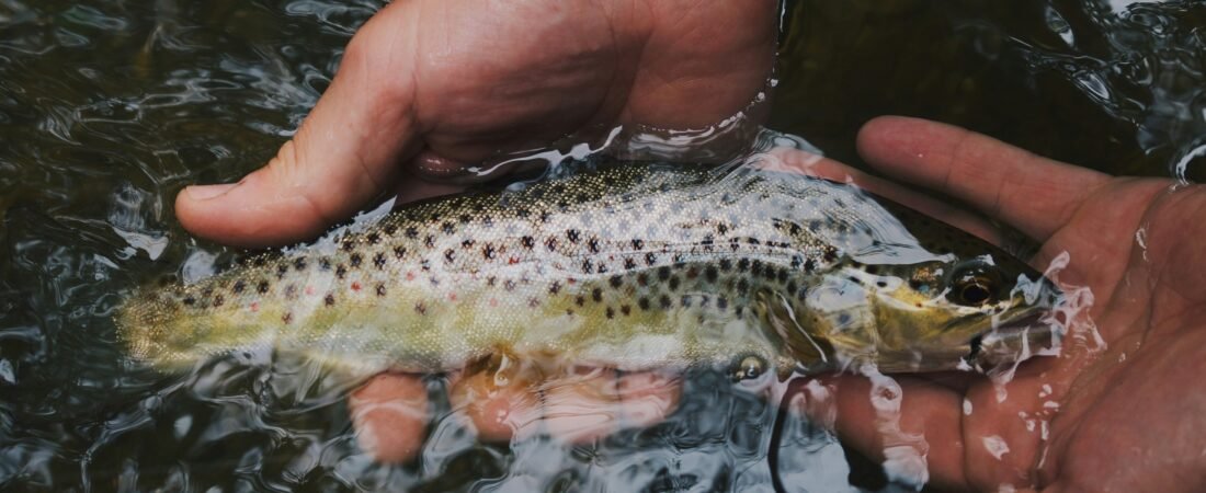 Peut-on méditer en pêchant ?