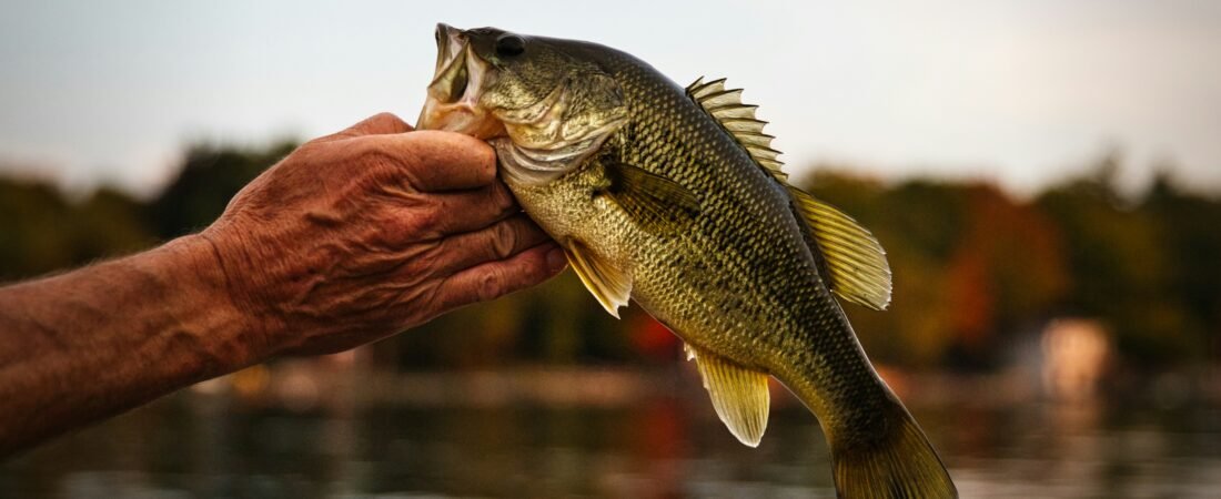 La pêche comme outil de développement personnel