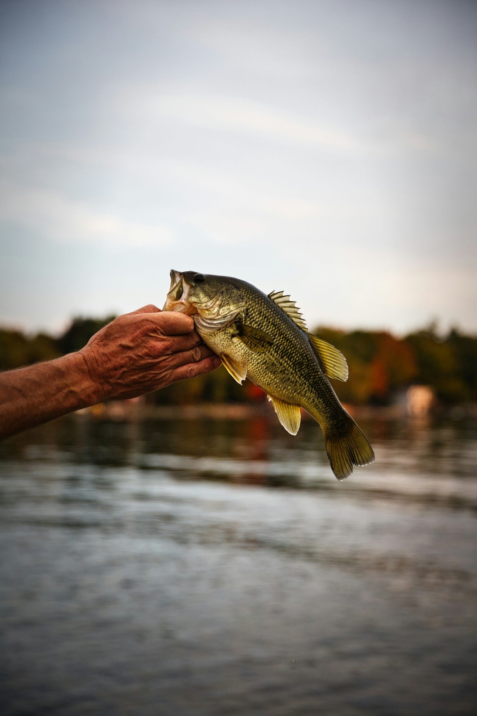 La pêche comme outil de développement personnel