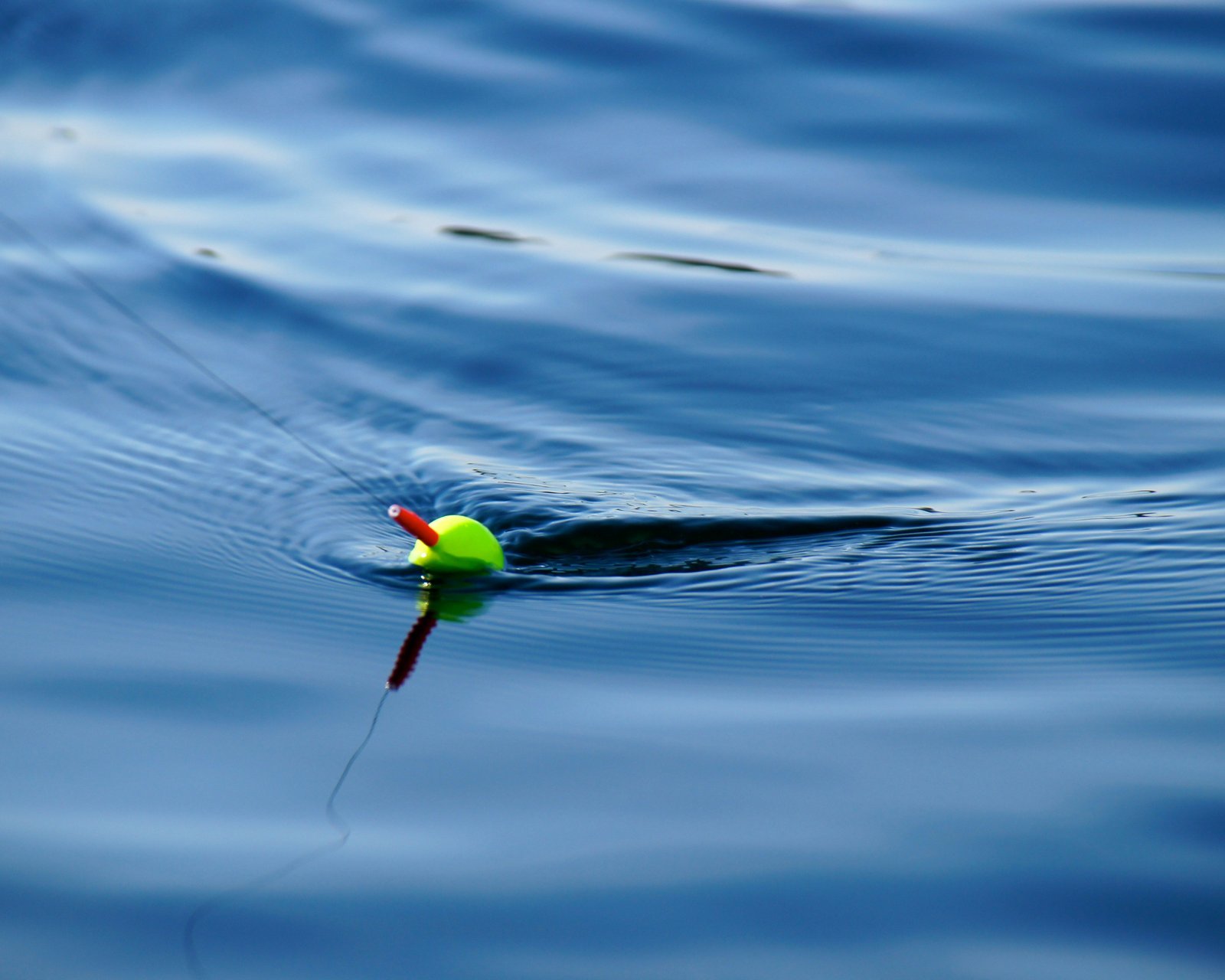 Le pouvoir de la patience en pêche