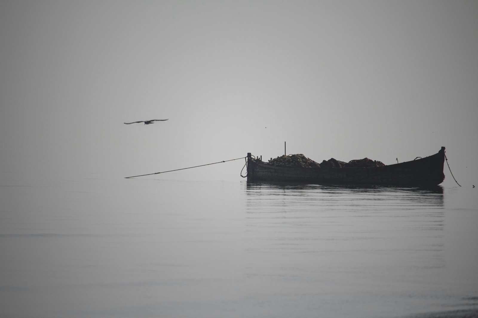 Histoires vraies : comment la pêche a changé ma vie