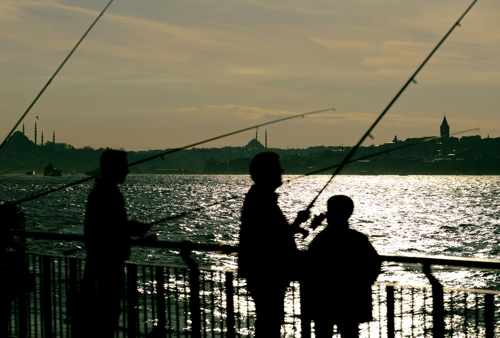 Ce que m’a appris la pêche sur la patience et la vie