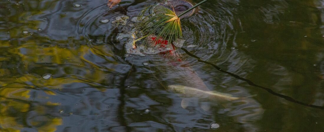 Le moulinet dans l’imaginaire du pêcheur
