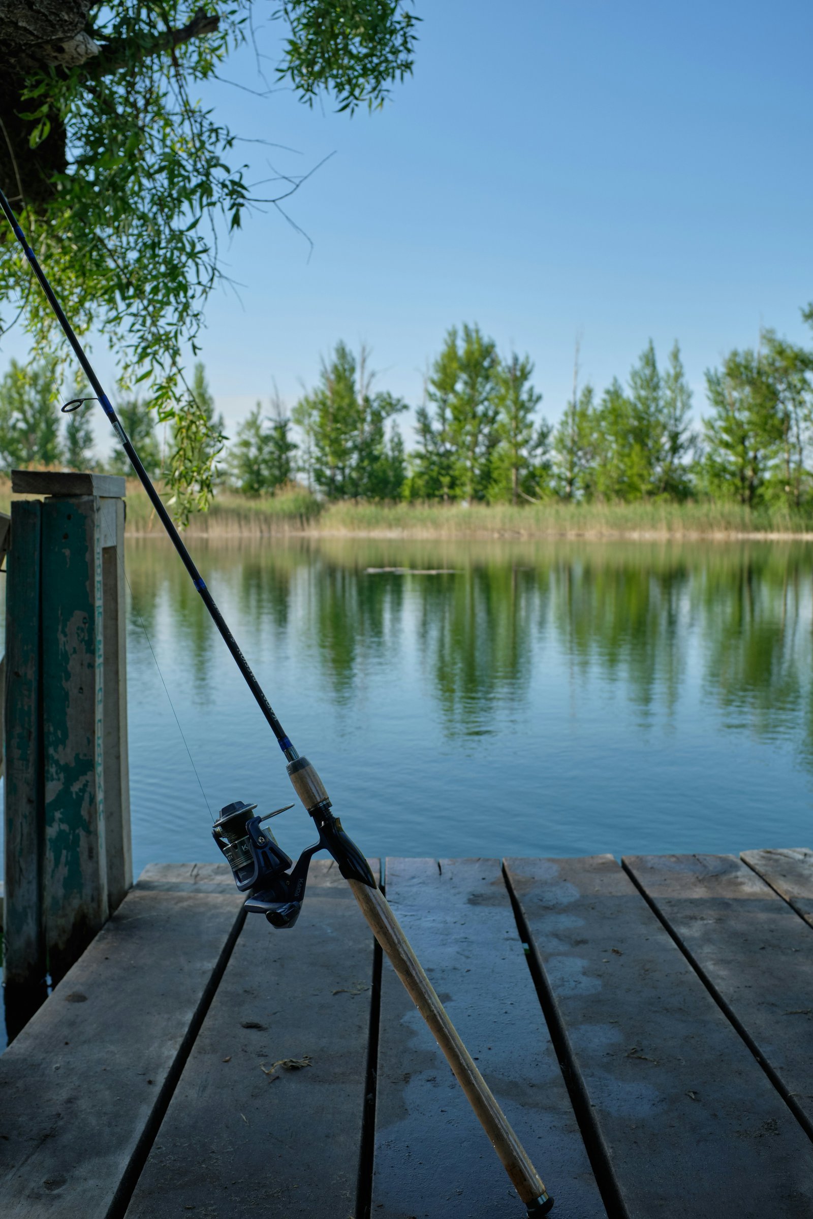 Des rencontres imprévues au bord de l’eau