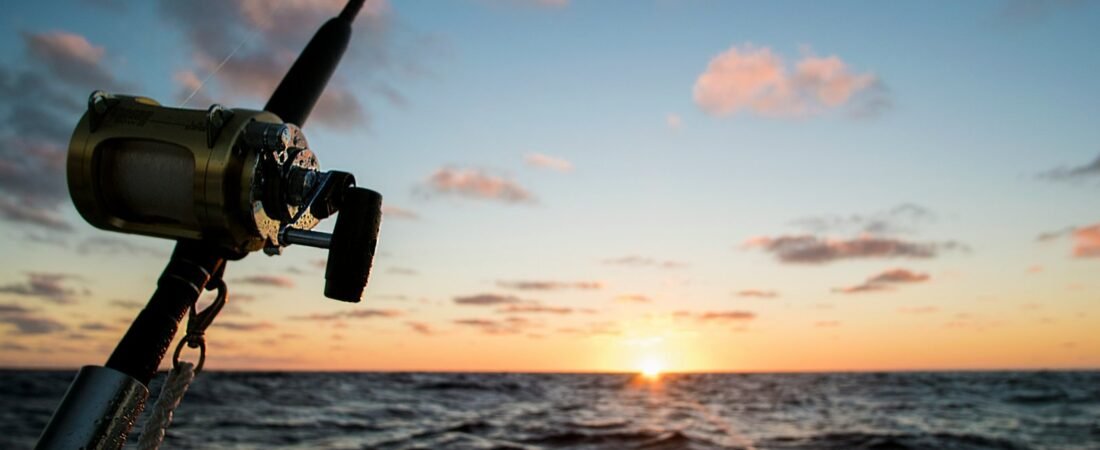 Observer la nature se réveiller depuis un poste de pêche
