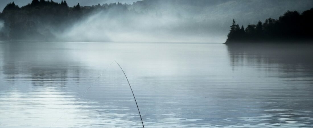 Les silences comme ponts entre deux mondes