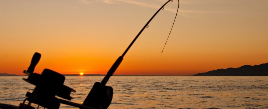Découvrir la nature autrement grâce à la pêche
