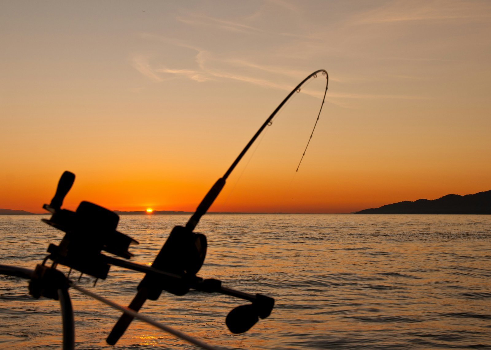 Découvrir la nature autrement grâce à la pêche