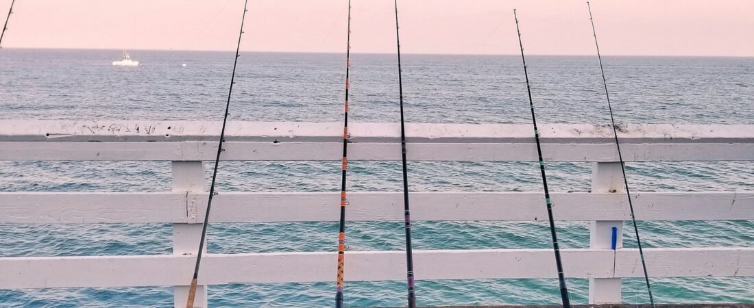 Observer, attendre, ressentir : la pêche au naturel