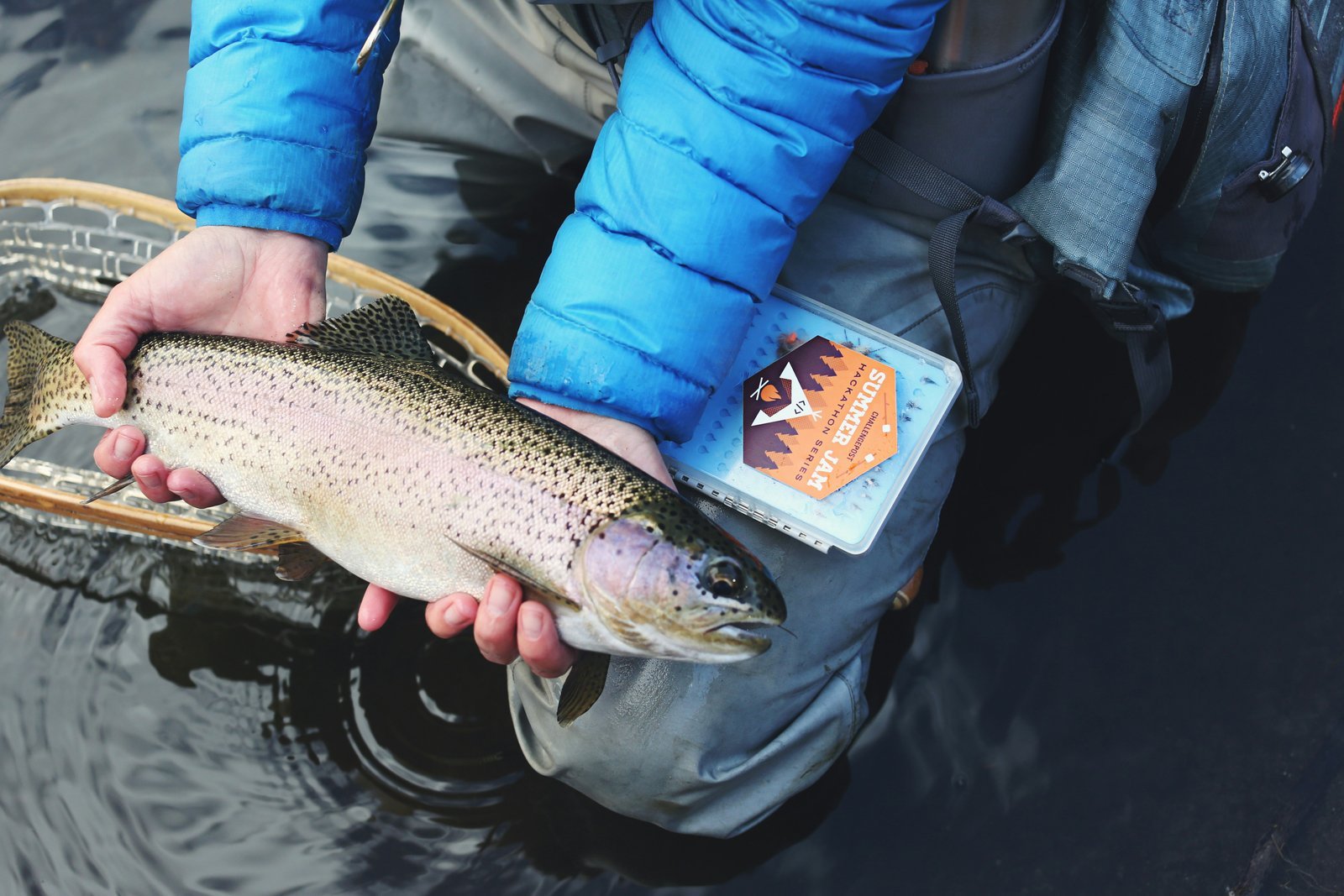 Pourquoi on revient toujours à la pêche