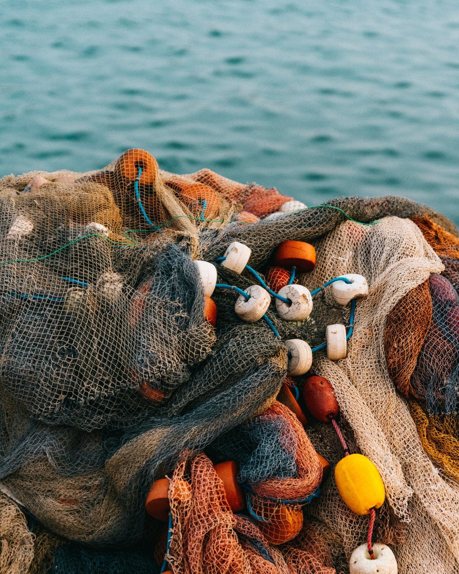Enseigner la pêche aux enfants
