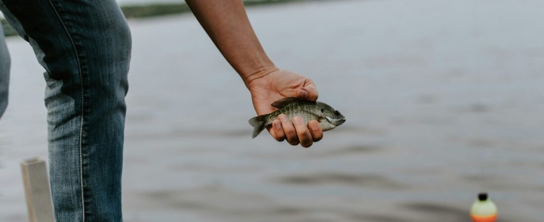 Revenir à l’essentiel avec la pêche