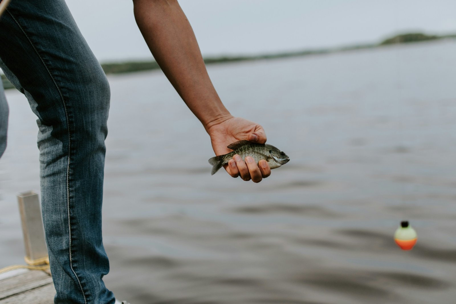 Revenir à l’essentiel avec la pêche